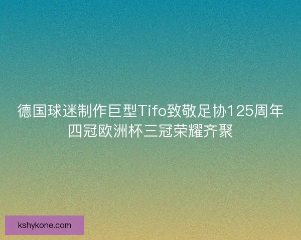 德国球迷制作巨型Tifo致敬足协125周年四冠欧洲杯三冠荣耀齐聚